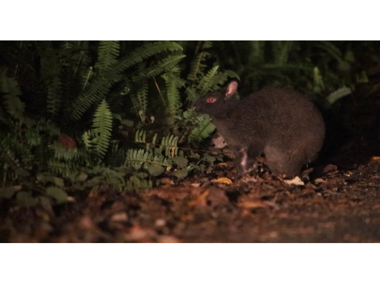 A}~mNETMfibj@̗ѓɎ܎pB͂ijHׂĂ鎞Bẽ`XB