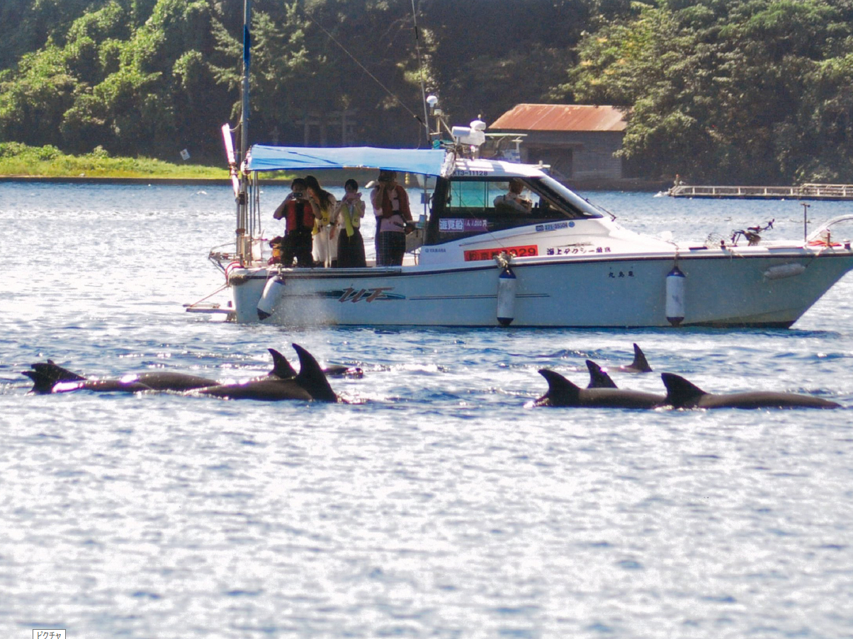 �^���ǂ���΁A�ɍ��p���ɃC���J�������Ă��܂���