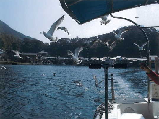 ����]�ł���΂����߂̃G�T�⃊���̌��ł��܂���G�T��͖����ł��B