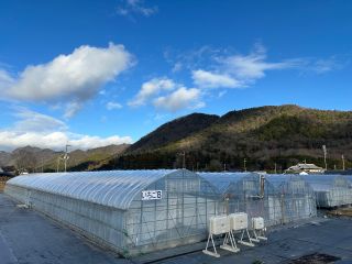 福助ファームは自然豊かな田園風景の中にあります☆