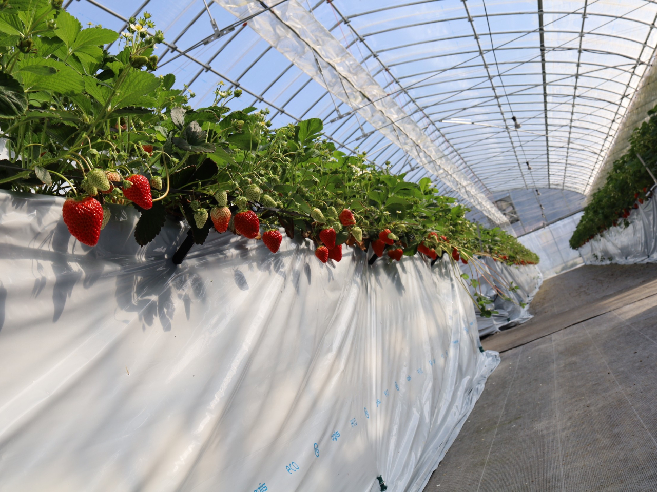 t@[͑SāAuvBU̕iHהׁ