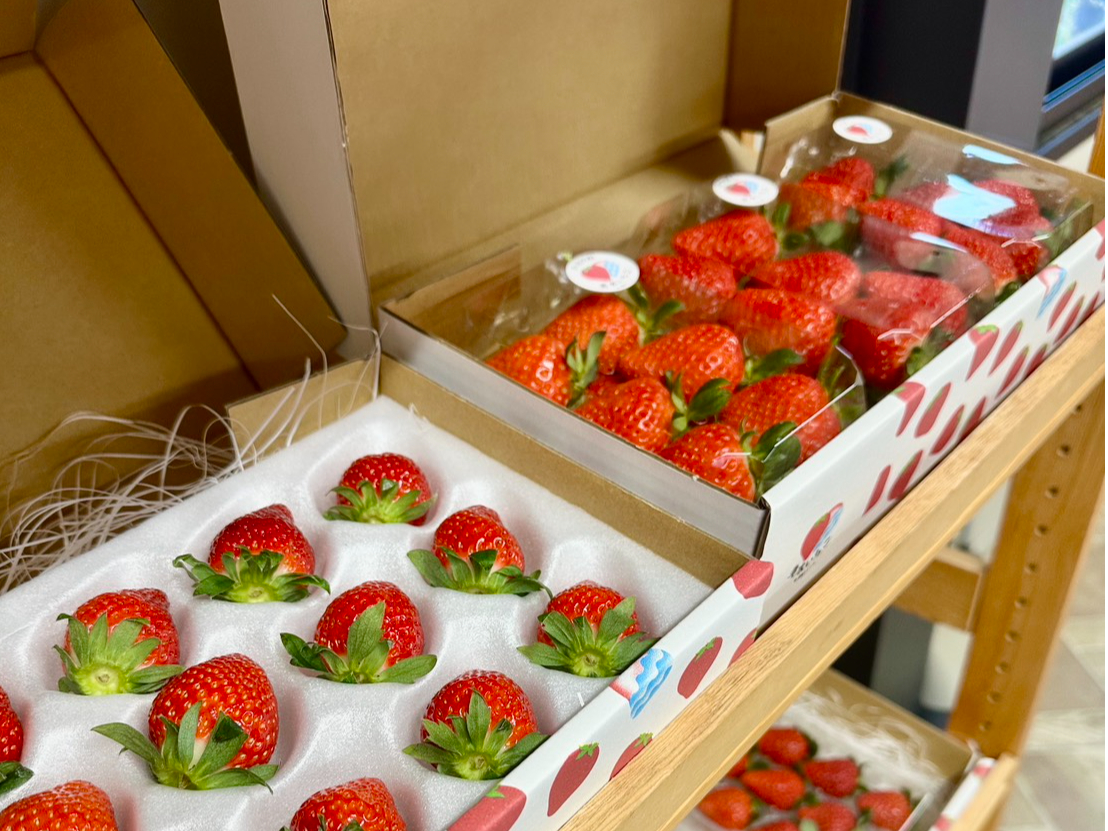 I[vĂ܂IЂA̍ۂɊĂ݂Ă