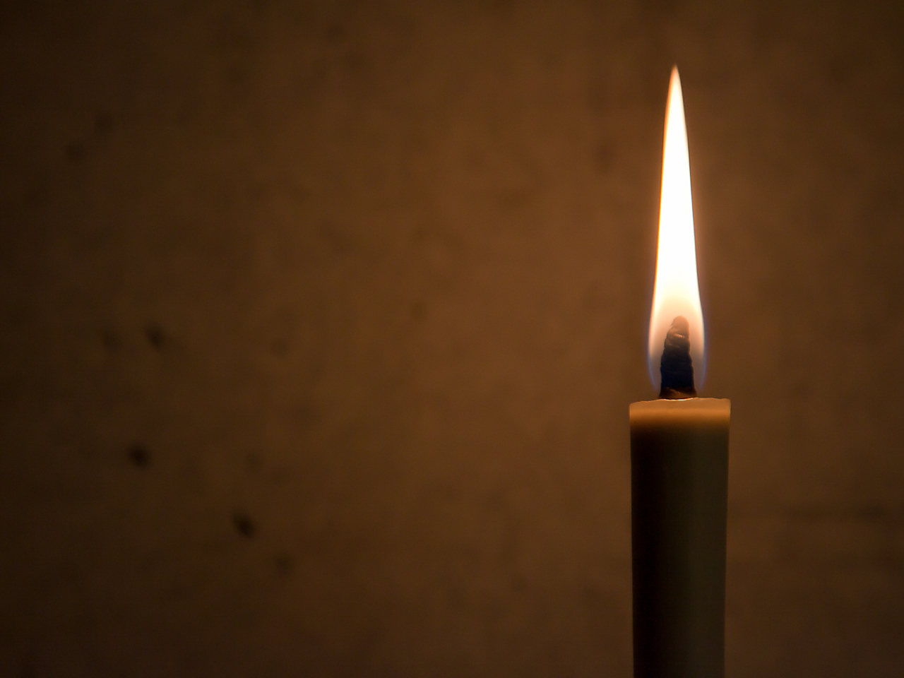 a낤̓ۂɌāAāA̗j낤̓`wׂ̌łB