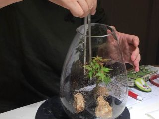 道具、材料はご用意します。