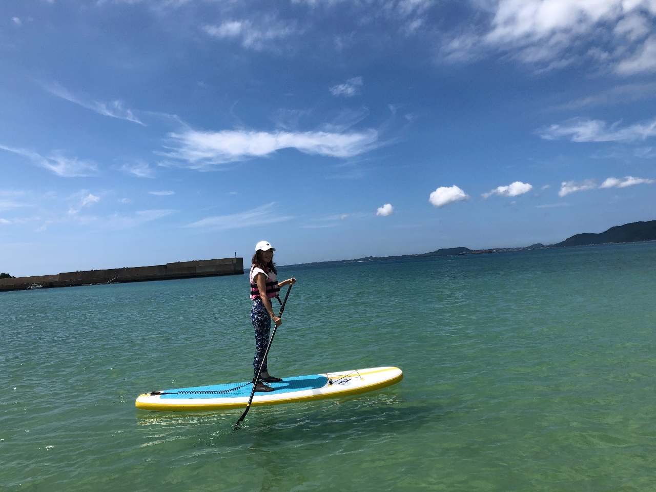 ��i�̑�C���֑����o�����I