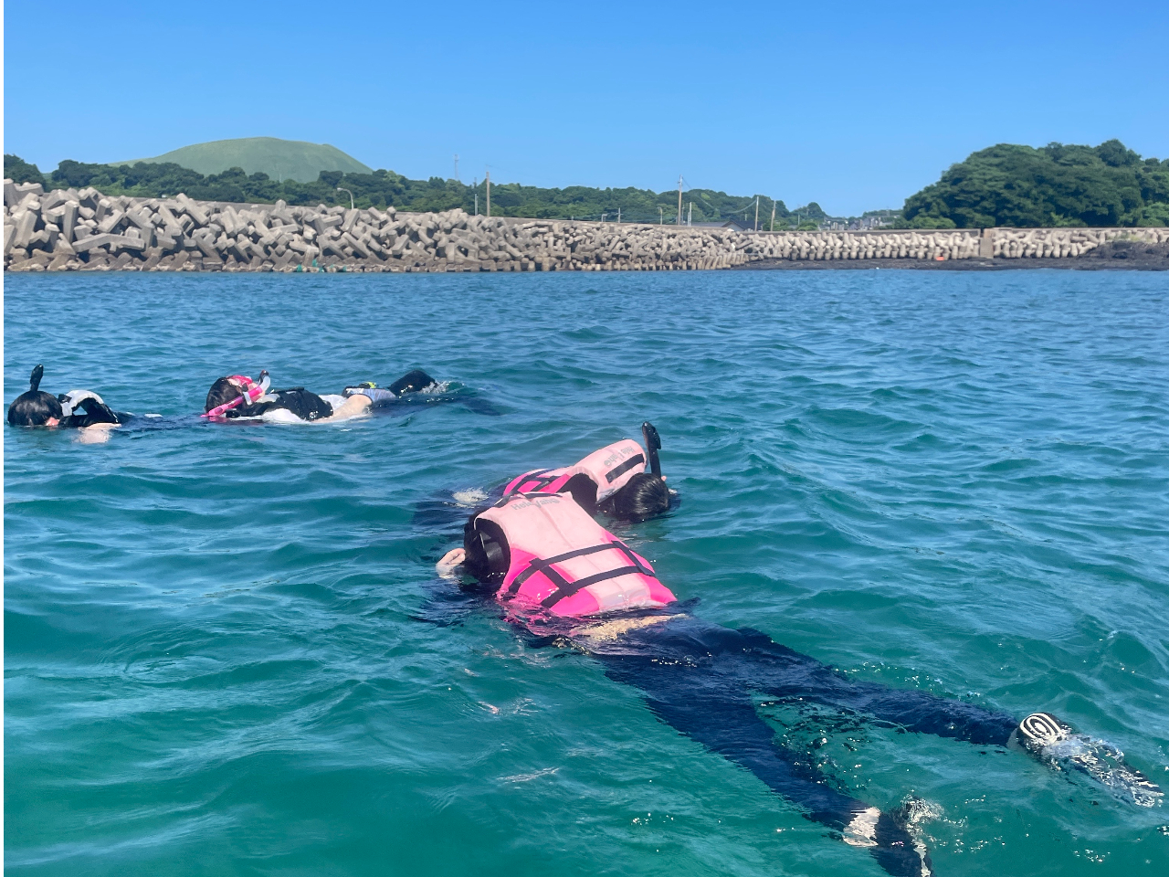 �T���S���Q������B��Ƃł��B