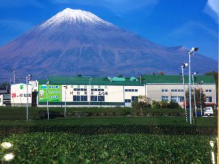 天気が良ければ富士山も望めます♪