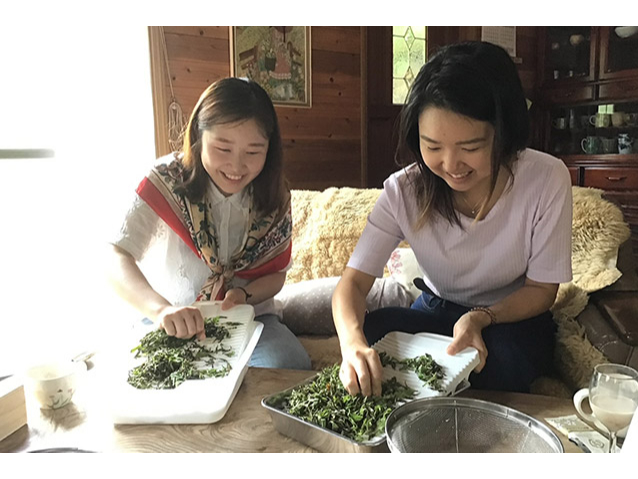 【紅茶づくり体験】茶葉の揉み込み~乾燥まで体験♪女性におススメ◎