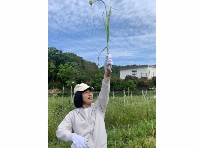 2024//6/1. にんにく 取ったど〜〜ッ!!^_^