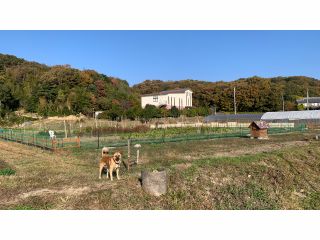 電気柵を設置。クロポンの活動範囲はほぼ同じ!より安全に収穫体験できる様、圃場内整備を進めています!