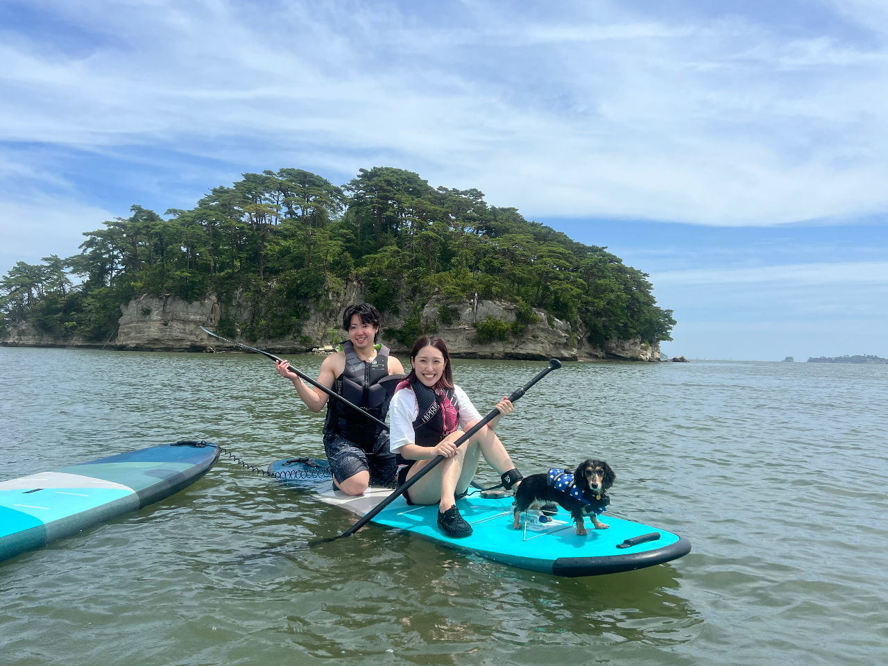 񂿂D̃X^bt̂ŁAdogTbv劽}II