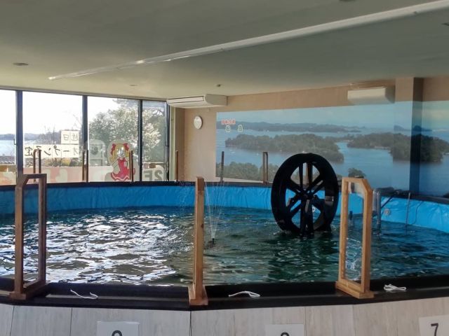 室内釣り堀 松島海岸目の前の好立地 手ぶらでok コイ 金魚 ウグイ ヘラブナ釣りが楽しめる釣り堀 カップル ファミリーにもおすすめです 室内釣り堀 釣物語in松島 じゃらん遊び体験 室内釣り堀 松島海岸目の前の好立地 手ぶらでok コイ 金魚 ウグイ ヘラブナ釣りが楽しめる釣り堀 カップル ファミリーにもおすすめです 室内釣り堀 釣物語in松島 じゃらん遊び体験