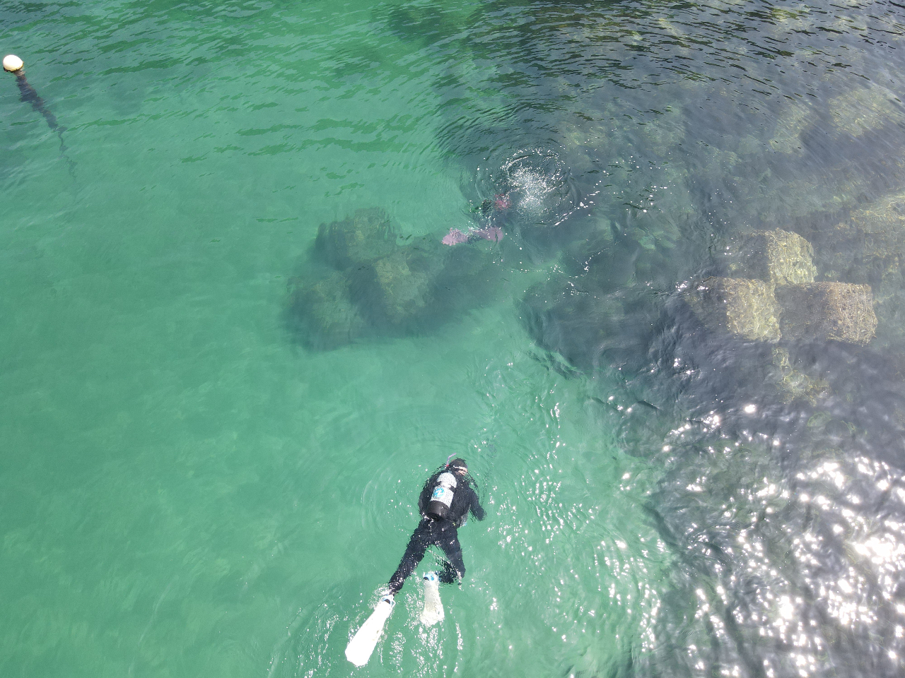 ̌鉸₩ȊCŗKς݂܂