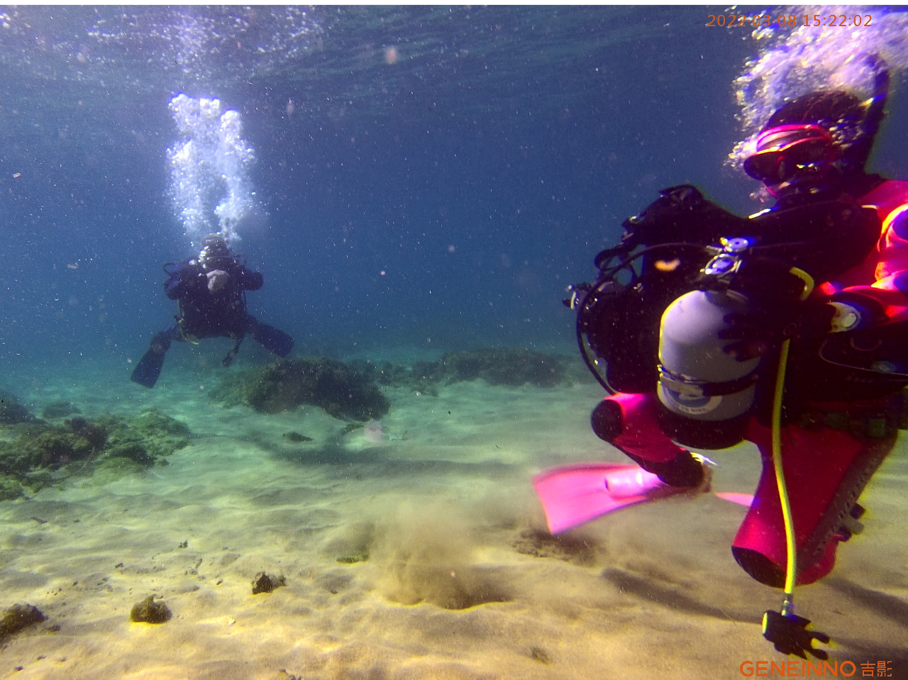 Ŗ肪ꍇAǂĉł邩H̃g[jOɏdvȂ̂ł