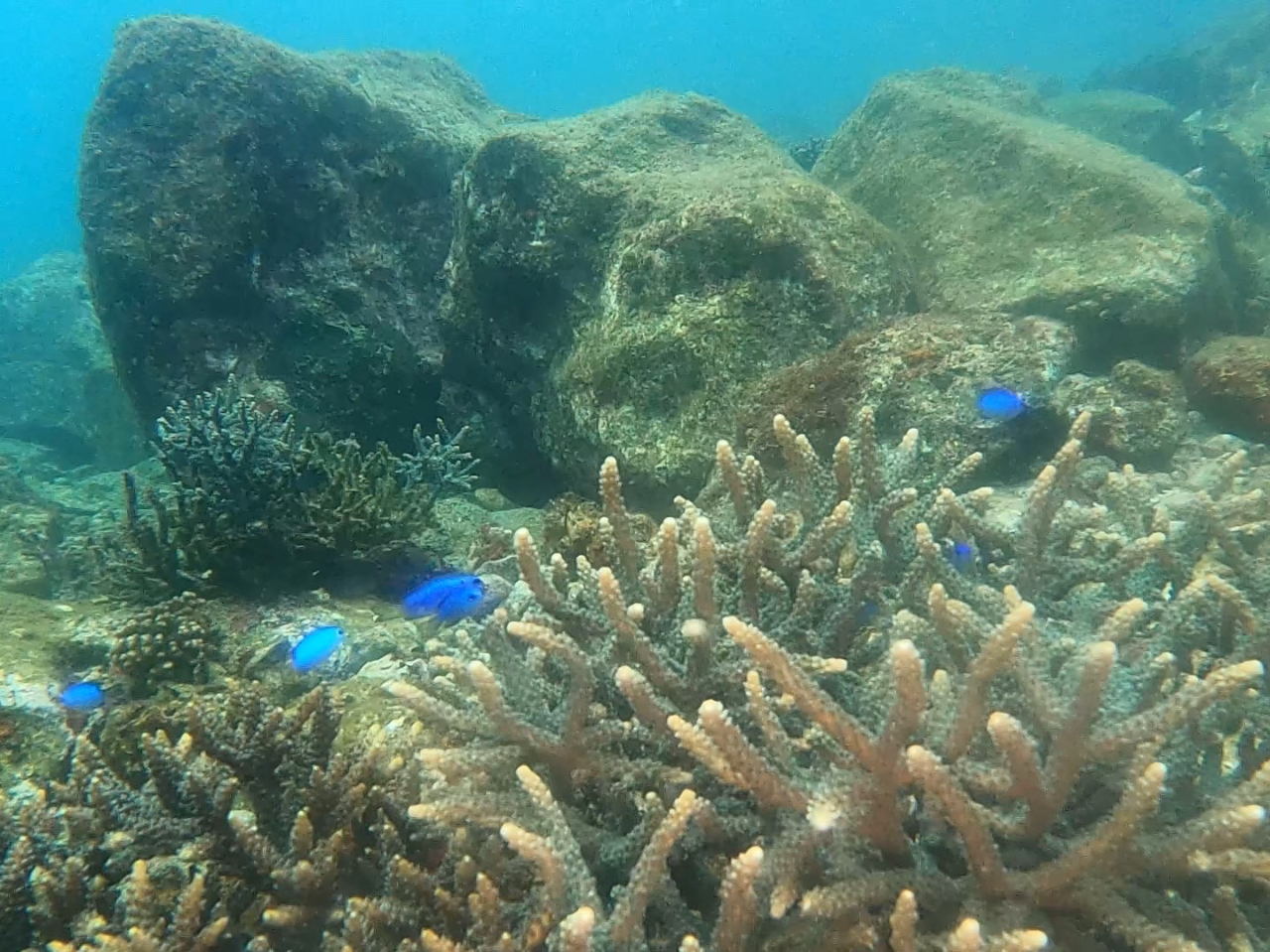 XL[o_CrO̗KĂƁAɗĂ܂