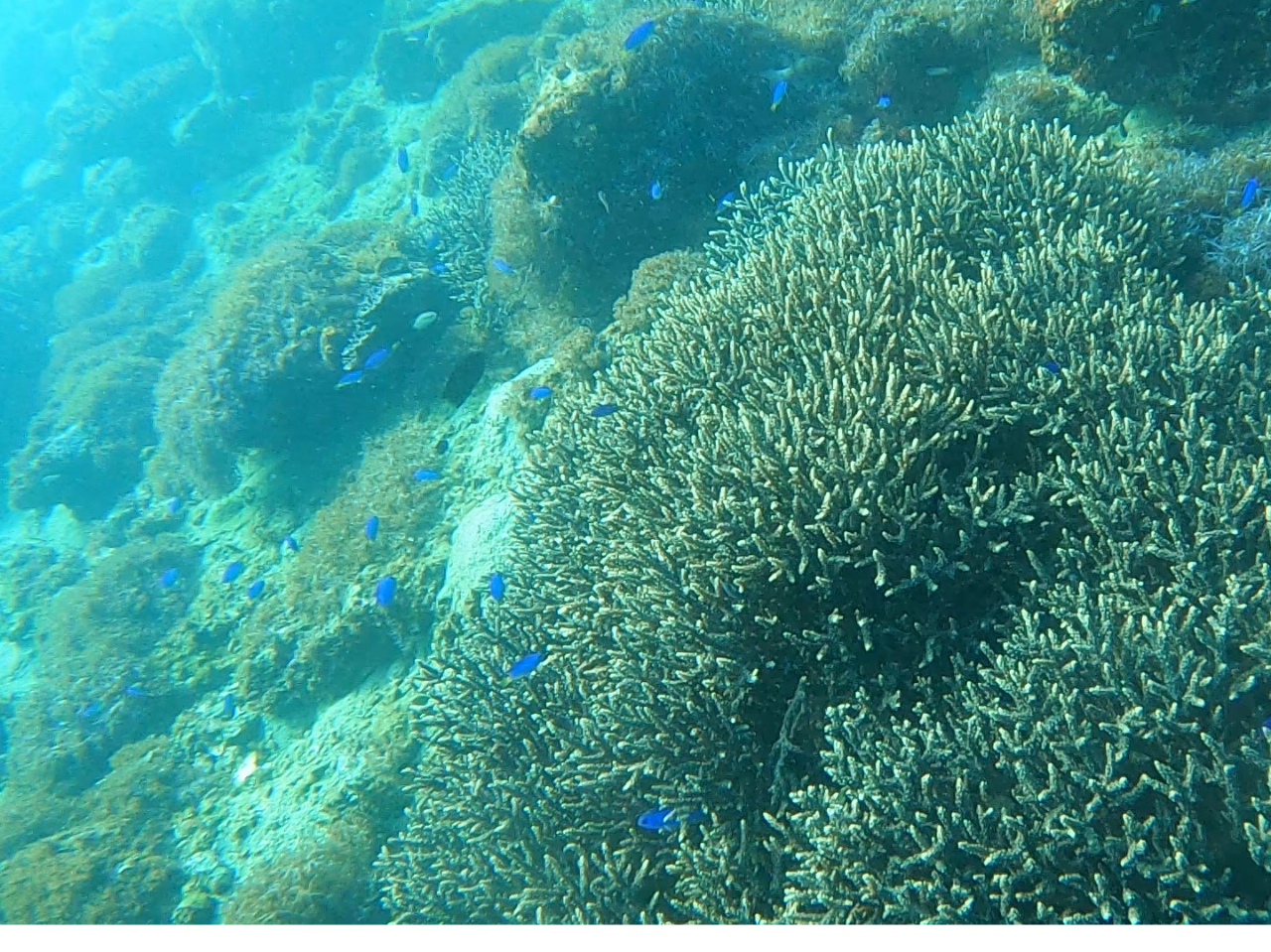 Cł͐i\XY_Cj₳o}Ă܂