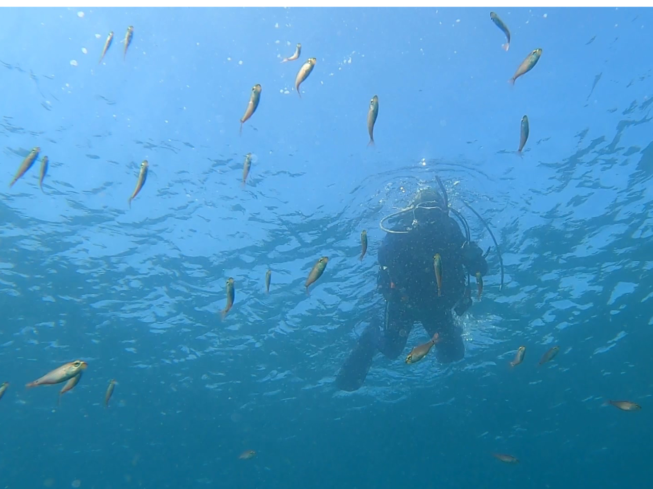 ���߂̓h�L�h�L�ł������݂Ă���ƁA���������Čċz���ł���悤�ɂȂ�A�����Â���ꂤ�悤�ɂȂ�܂�