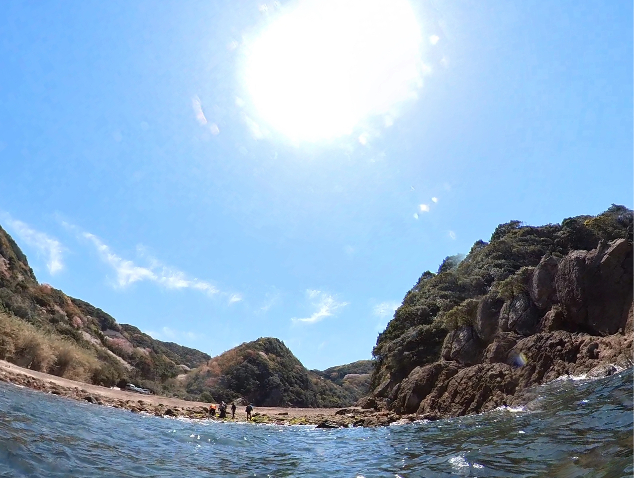 ����Ƒ����C�@�݂Ă��邾���ŐS������܂�