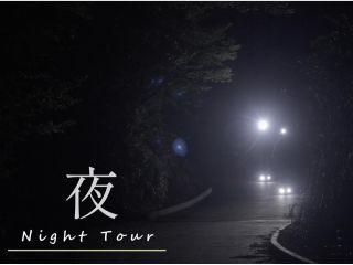 世界自然遺産 徳之島の夜の森を巡る電動キックボードガイド付きツアーです。