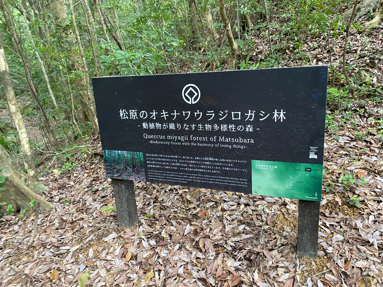 EYɓo^ꂽƂłgpłȂS󂳂ꂽŔB