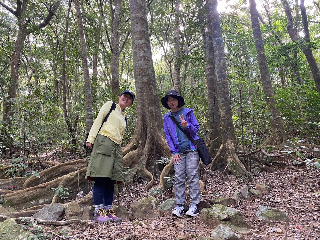 世界自然遺産の中核エリアに広がる森は、学びと気づきの宝庫です♪ Adventure ＆ Academic Tourをお楽しみください！