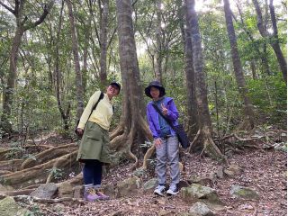 世界自然遺産の中核エリアに広がる森は、学びと気づきの宝庫です♪ Adventure & Academic Tourをお楽しみください!