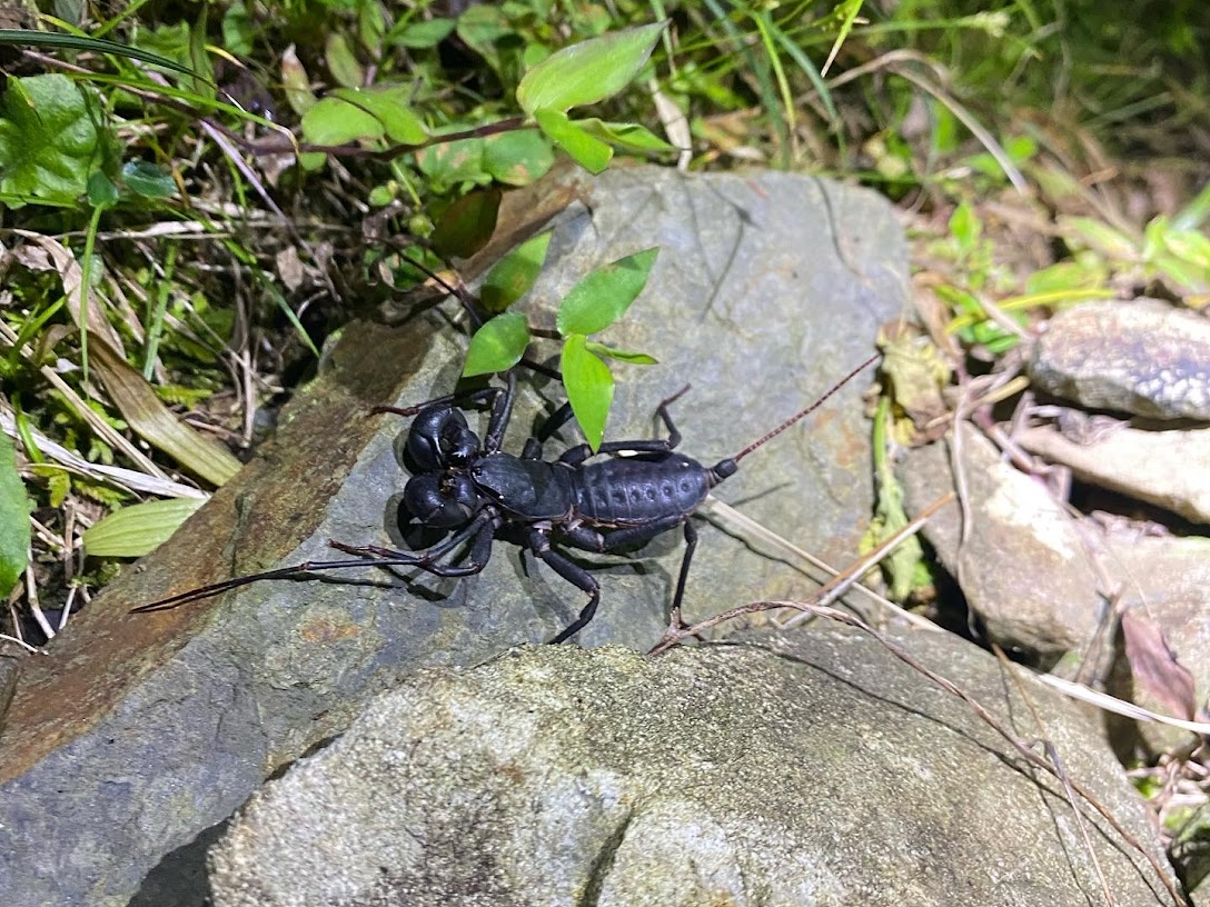 EOɐT\hLI@T\݂ǁ̒Ԃł