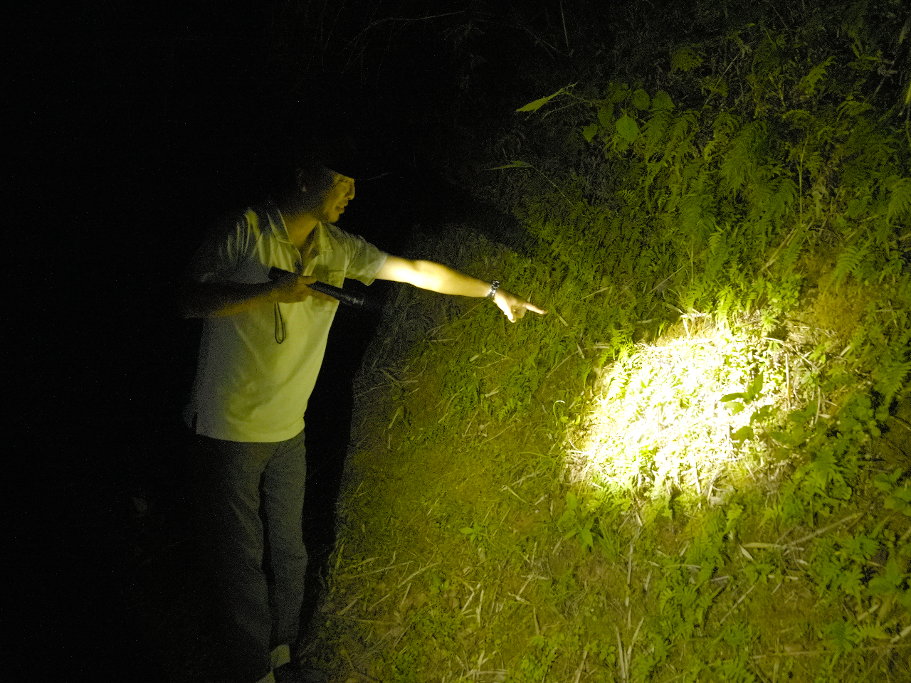 CgЎɖ铹̒TłB̒ɂǂȏo┭邩y݂łˁ