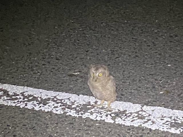 {ꏬȃtNEwELERmnYNxB͂ǂpȂȂ邱Ƃ͏o܂񂪁Aɂ͂ȏo