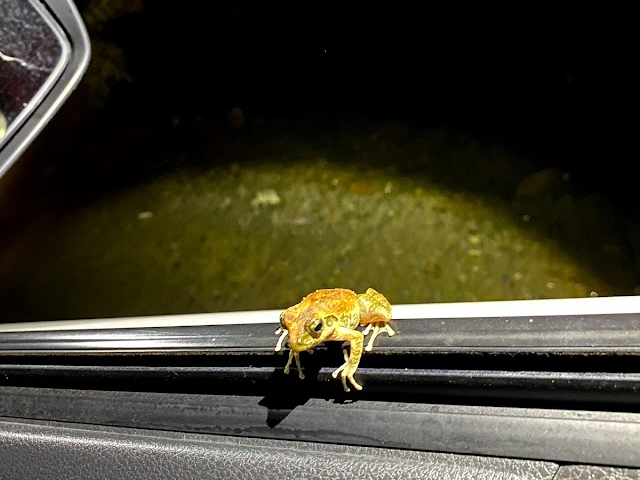 ɂ́AԂɒq񂪏Ă邱ƂOO@ELEJWJKG