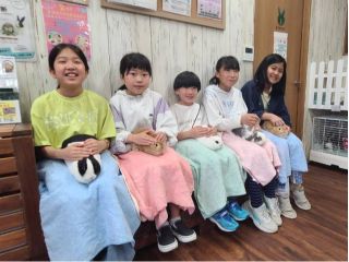 一番人気のお膝の上でなでなで体験