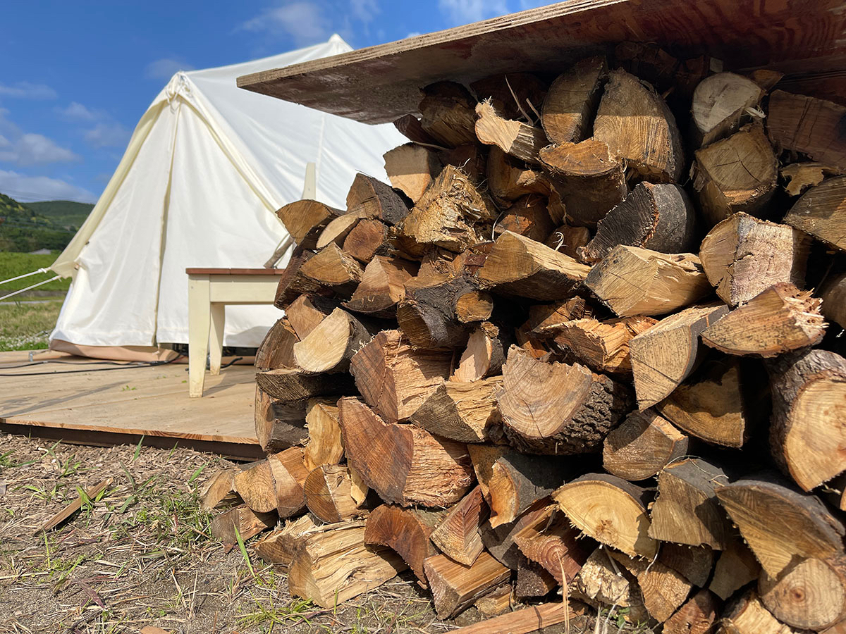 dY͗pӂĂ̂ŁAvBd1{ŁAMdȐďł܂B