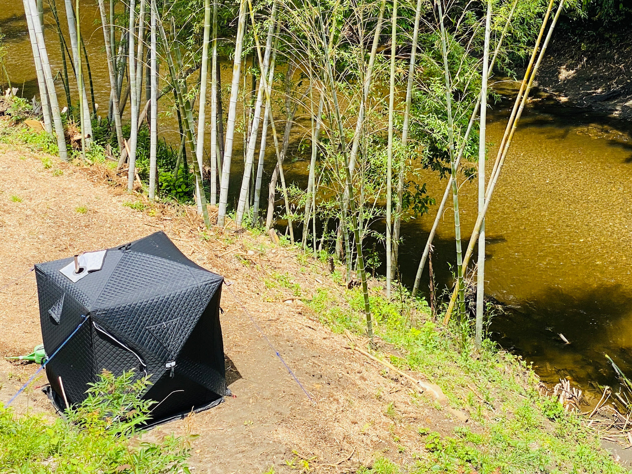 自然の中でととのうこと間違いなし!