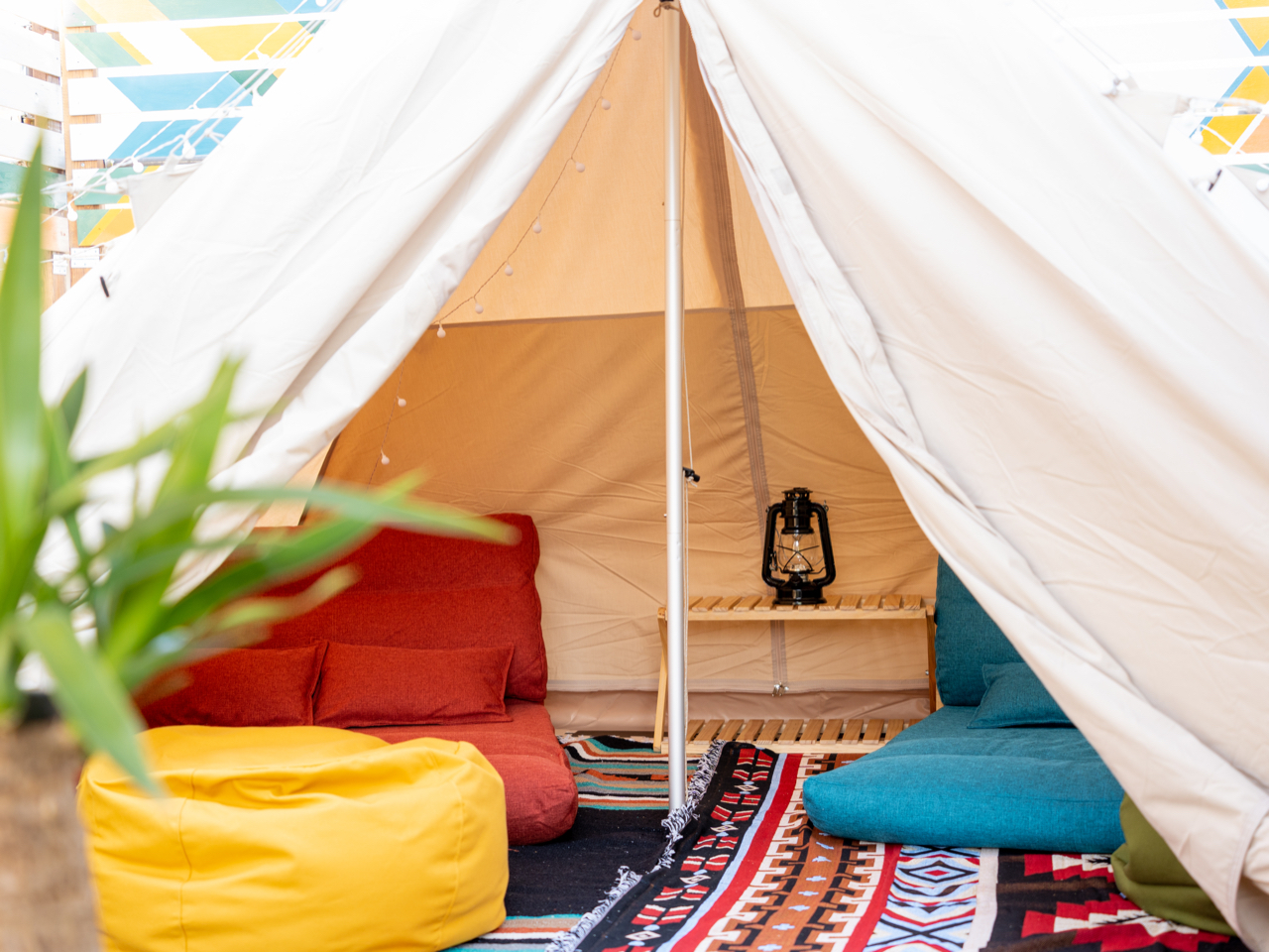 お昼寝も映える!?