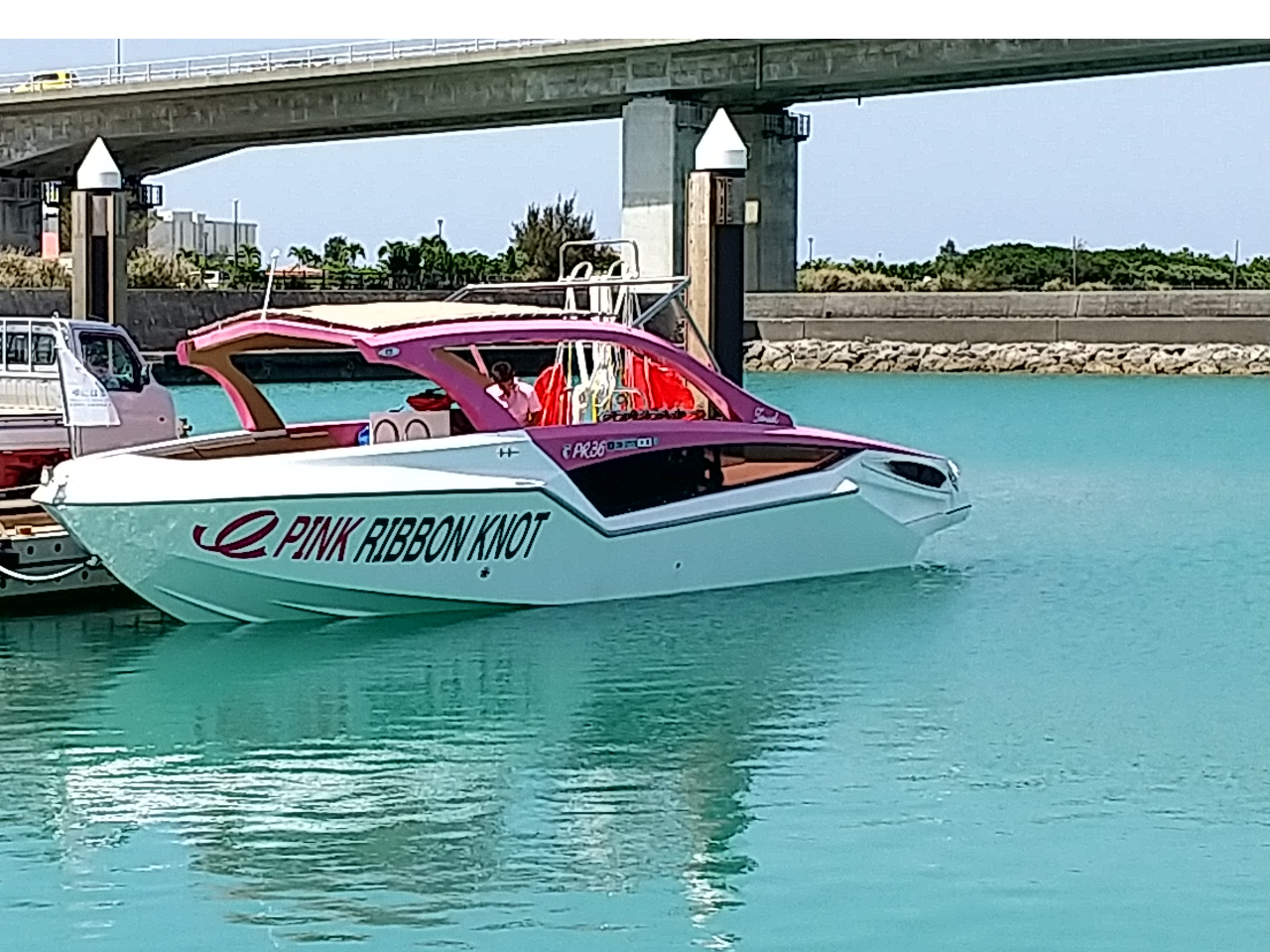 pZ[O̖{gRÁuPINK RIBBBON KNOTvIꌧ̃p[ւ{[głI