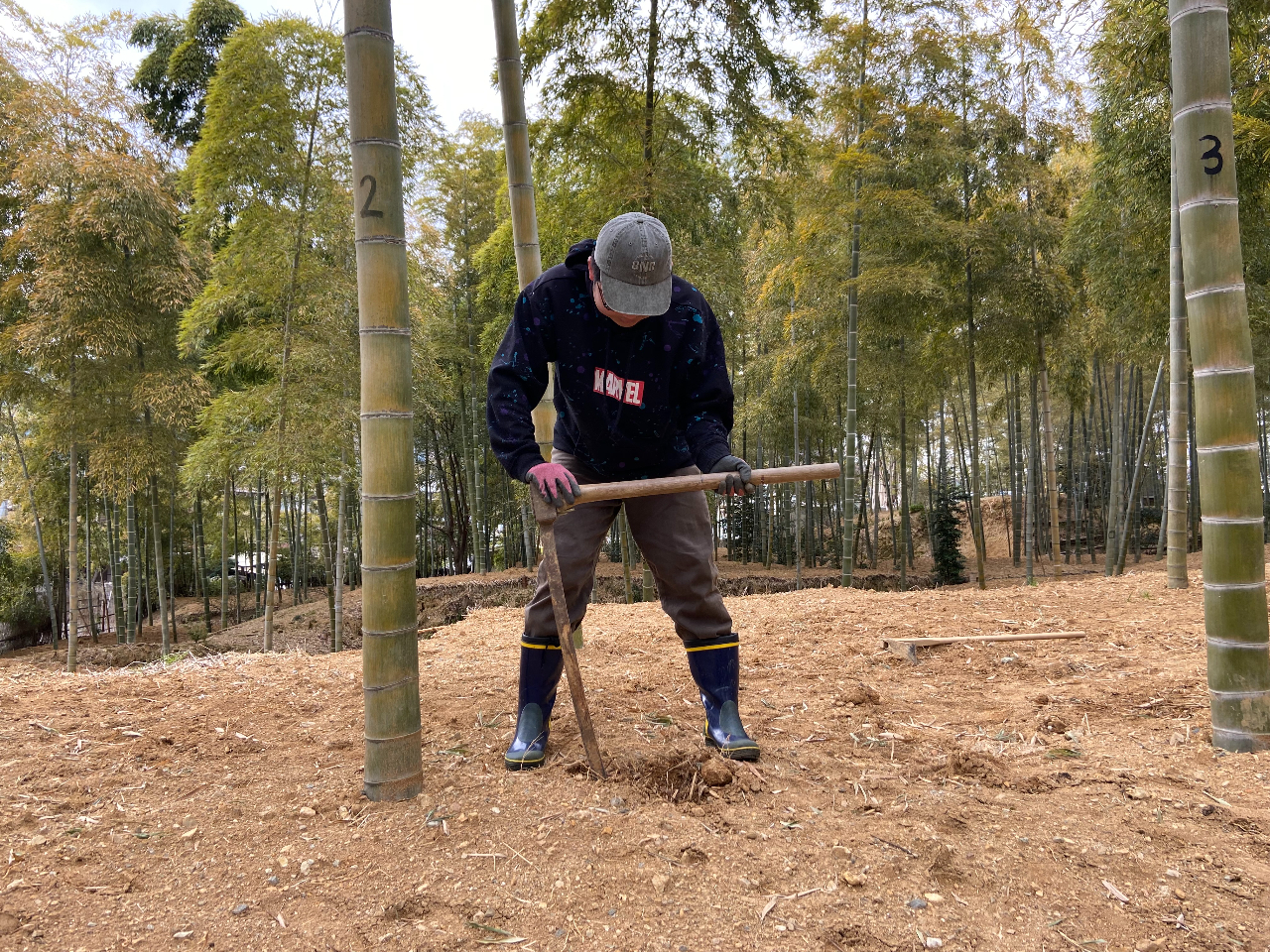 ���s���L�̖x������g�����{�i�����̂����n�̌����_�ƃ��N�`���[�t��