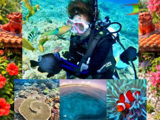 水納島/瀬底島方面は広大な珊瑚礁に魚の種類も多く沢山見られます!