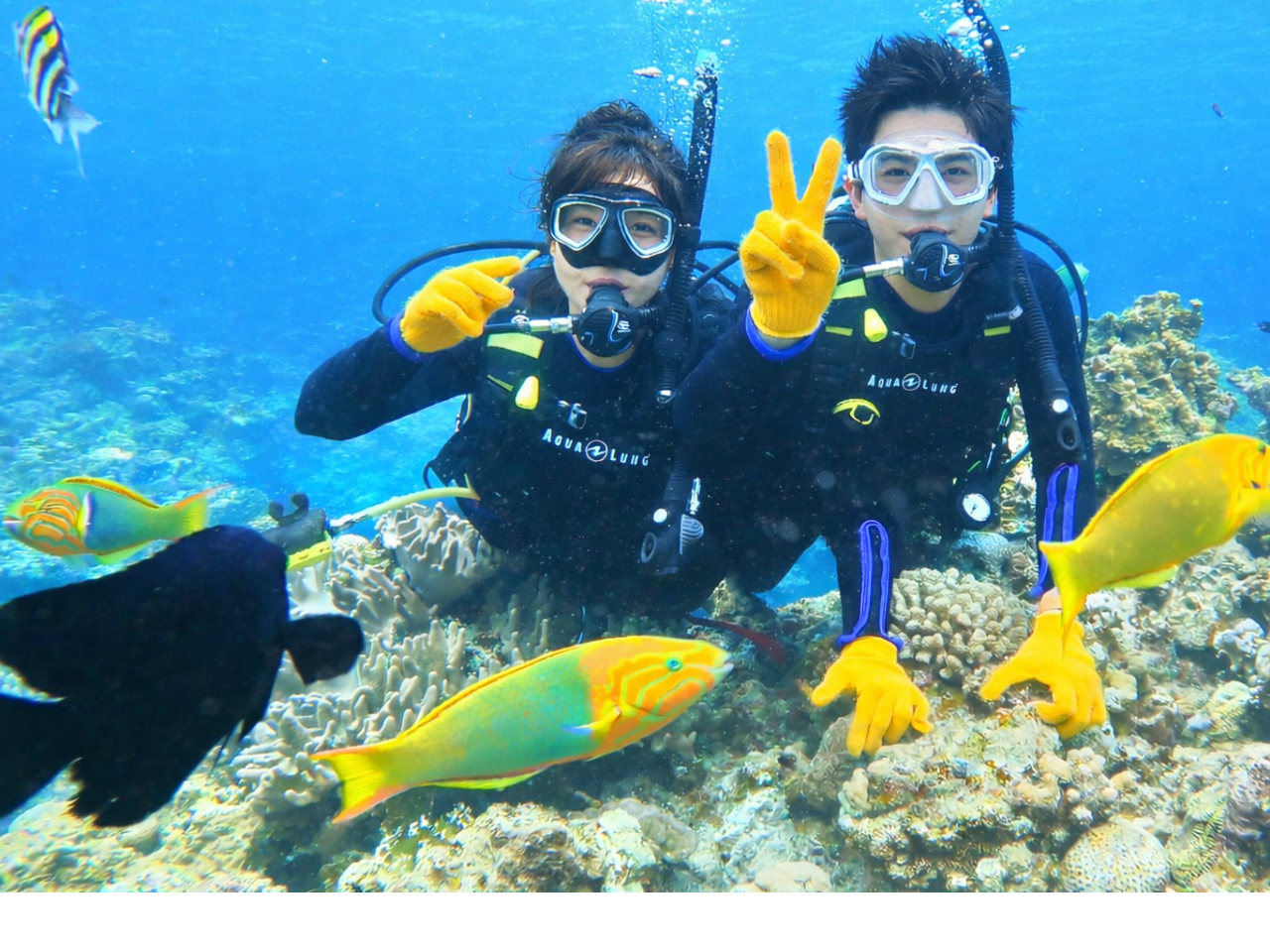 �����������C�ɂ��o�}���I