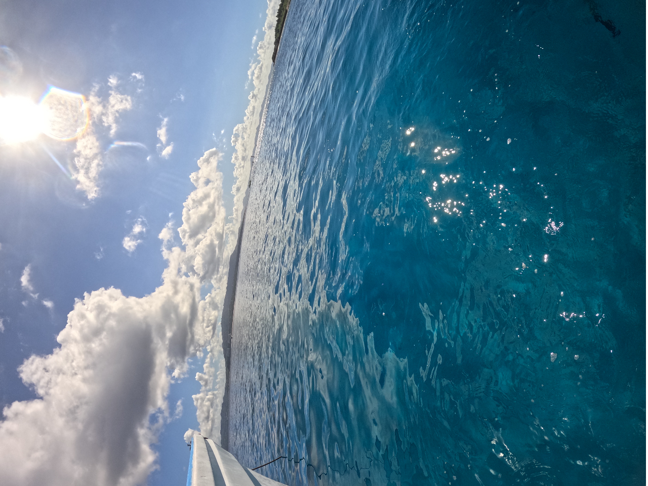 �����ƒ��߂Ă�����C�̔������A���R�������Ă��������B