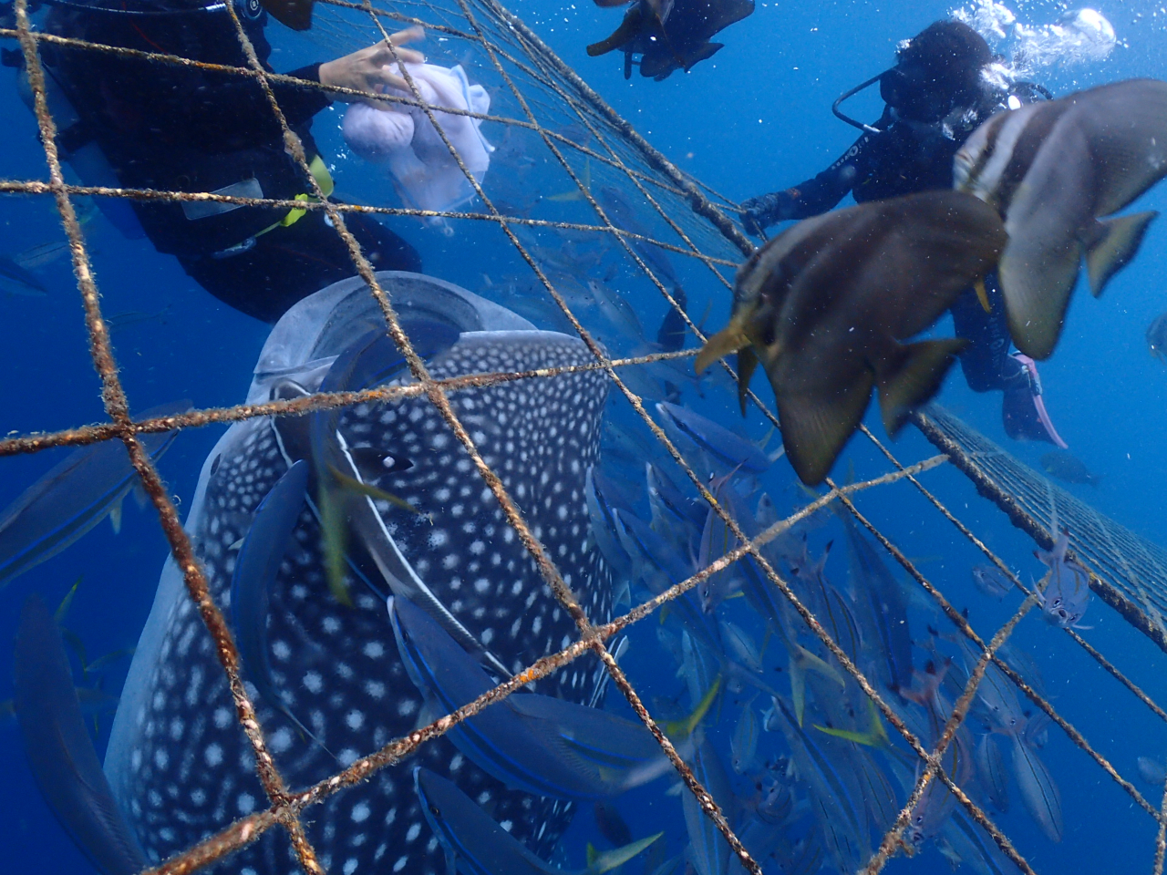 lbgɂ܂āAaĂ炢܂Îڂ炢ɋ߂ÂĂ܂I