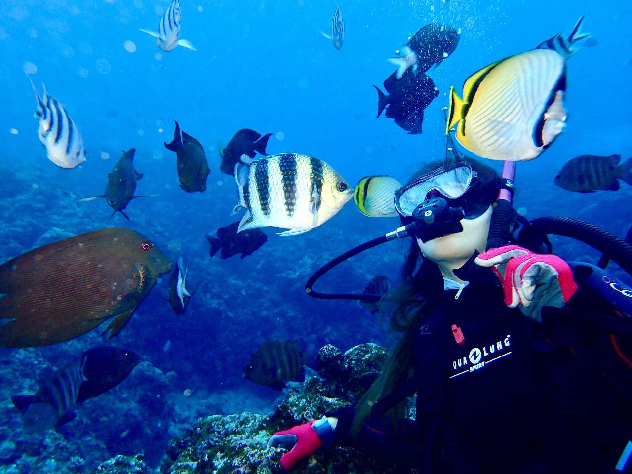 ^hĉ́A{łPԐlȂłOOߊĂ܂