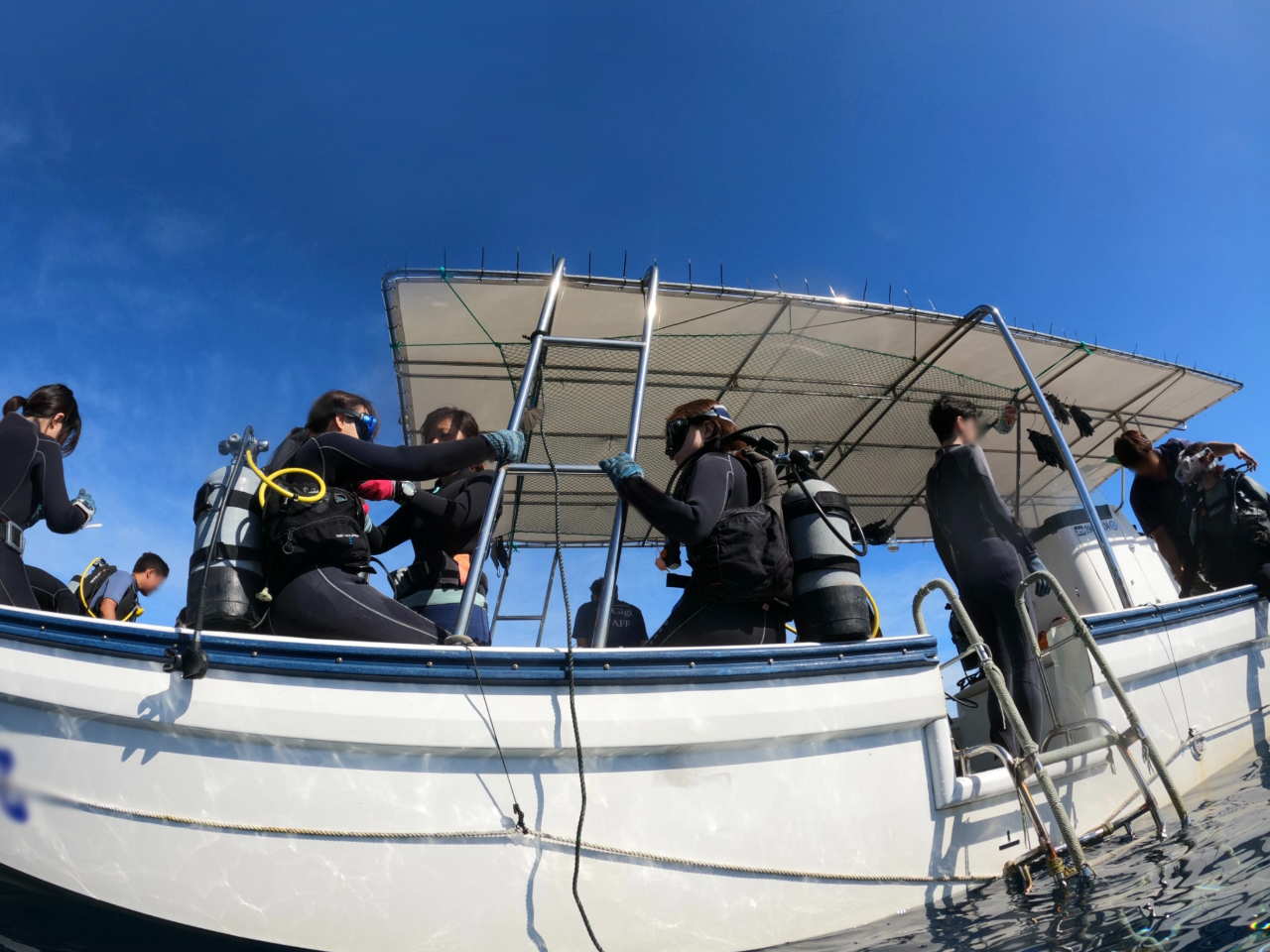 {[gŊyXI`̓A܂ł͂VȂ̂ňS̋łB