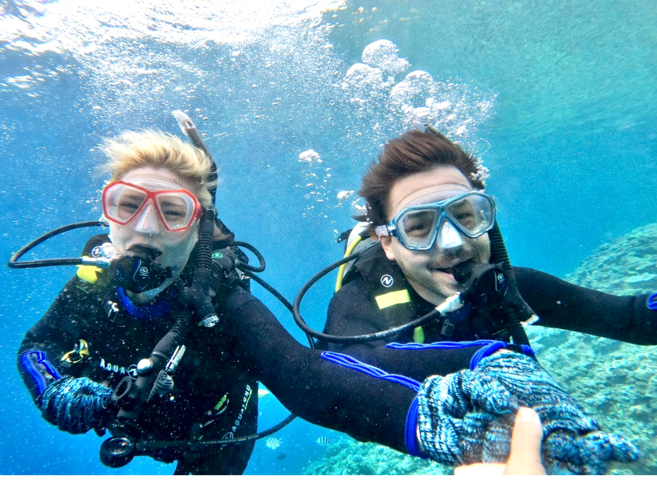 �C�̃A�C�h���u�j���v�̈��̂Ŗ������N�}�m�~�����������ɐ������Ă��܂�