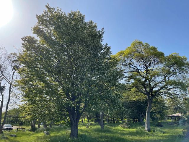 5時間bbq 手ぶらプラン 1日5組様限定 q用品 食材は全て用意します 片づけ不要 ごみ処理もお任せください 駐車場無料 飲料 備品のみお持込ください Hutiキャンプ場 じゃらん遊び体験 5時間bbq 手ぶらプラン 1日5組様限定 q用品 食材は全て用意します 片づけ不要 ごみ処理もお任せください 駐車場無料 飲料 備品のみお持込ください Hutiキャンプ場 じゃらん遊び体験