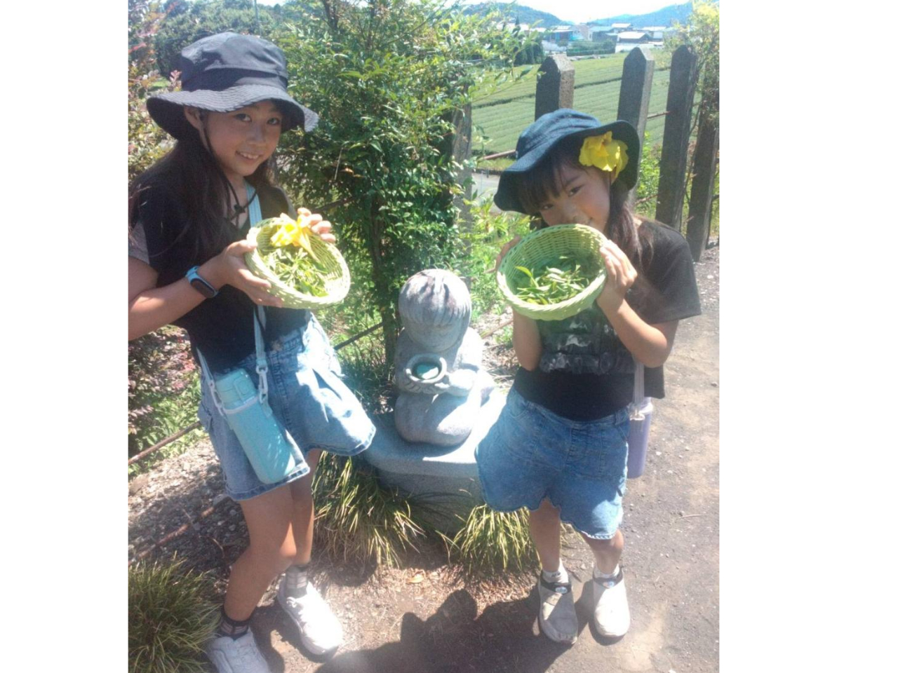 たくさん摘んで、サクラちゃんと記念写真