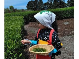 「どれにしよーかなぁー」