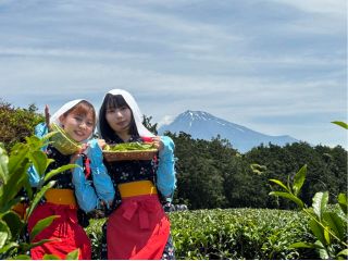 「6月1日の茶娘と富士山」