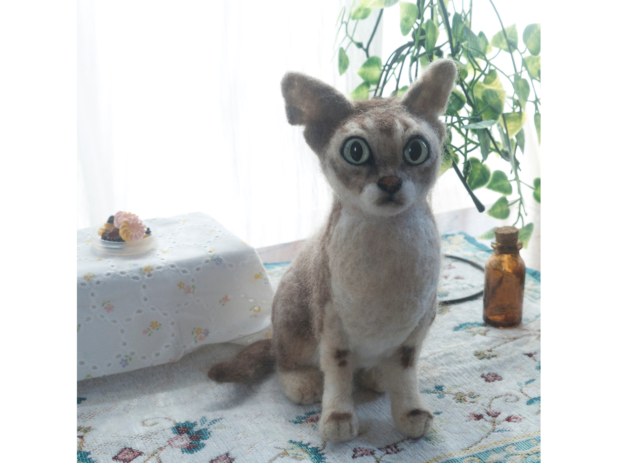 ̓An̍ïׁÃvł͂肢܂B