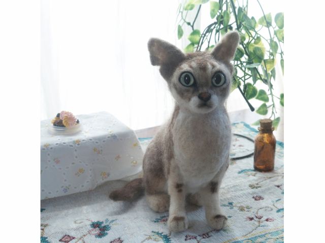 ※こちらはリアル系の作品の為、このプランではお作りいただけません。