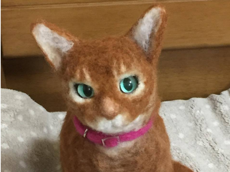 オーダーでお作りしたアビシニアン。「お帰り」と抱きしめて泣いておられました…(泣)